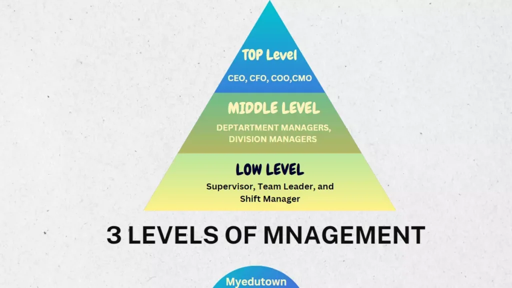 3 Levels of management with examples