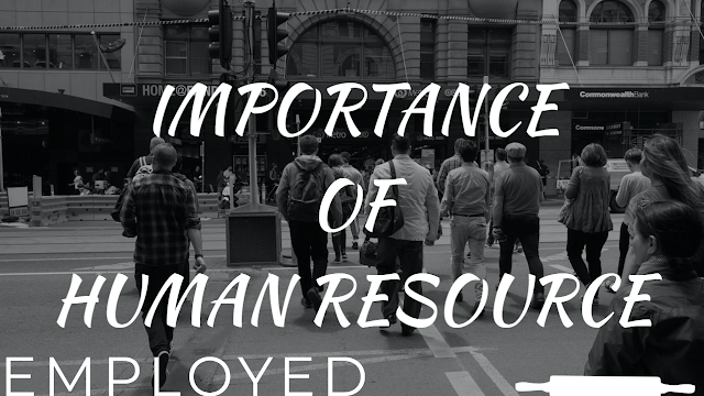Importance of human resources