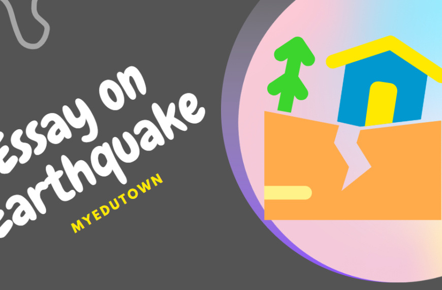 Essay on Earthquake