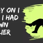 Essay on I wish I had known earlier