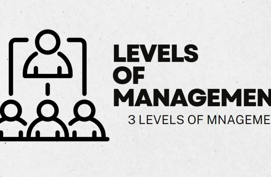 Levels of management