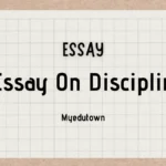 Essay on Discipline