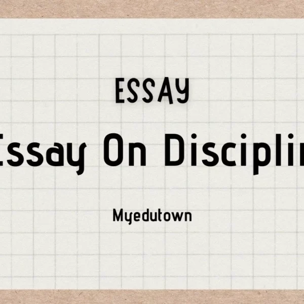Essay on Discipline