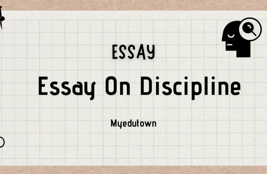 Essay on Discipline