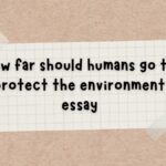 How far should humans go to protect the environment essay