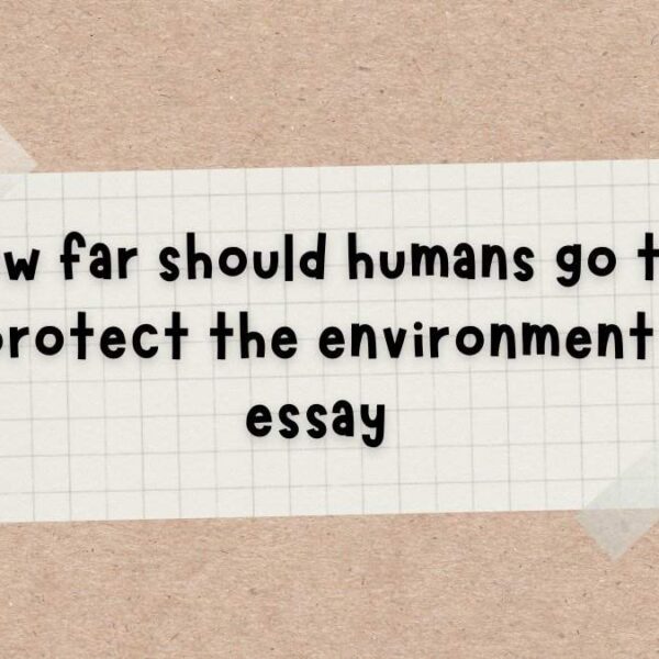 How far should humans go to protect the environment essay
