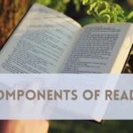 Components Of Reading